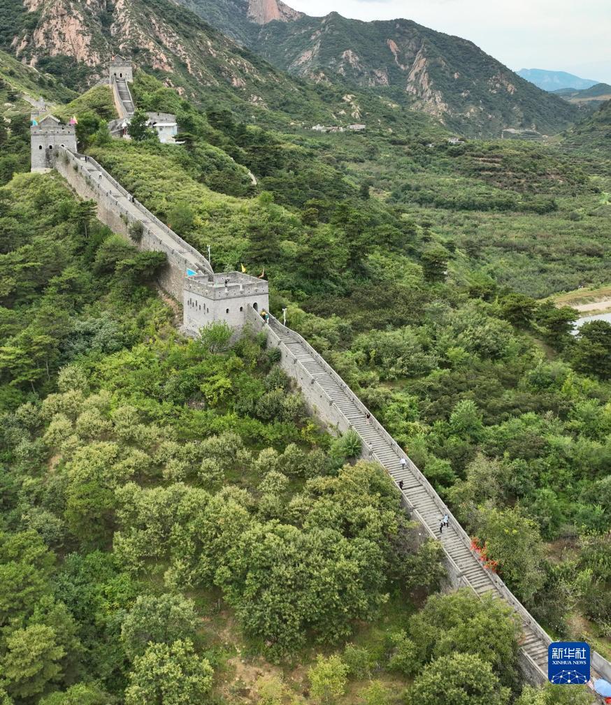 小苹果手机官网